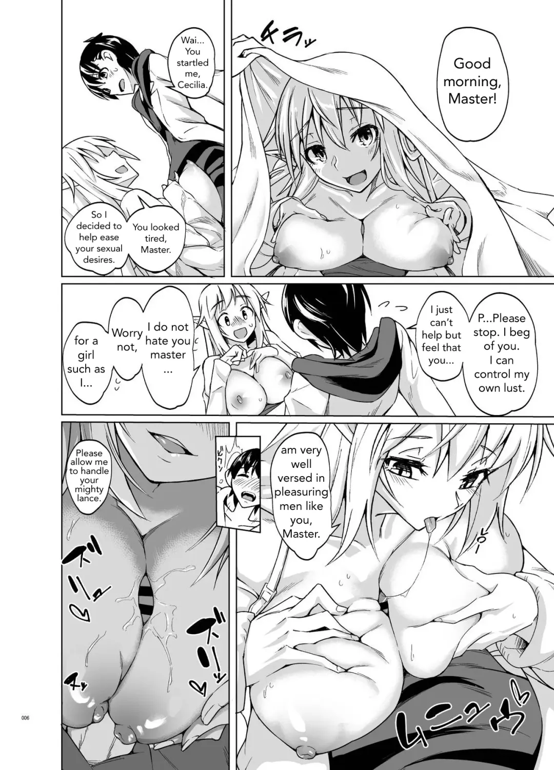 [Stealth Changing Line] Toaru Elf o Hikitorimashite | Taking Care of a Certain Elf Fhentai - Page 5