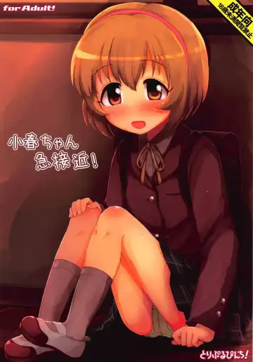 Read [Hikami Izuto] Koharu-chan Kyuusekkin! - Fhentai