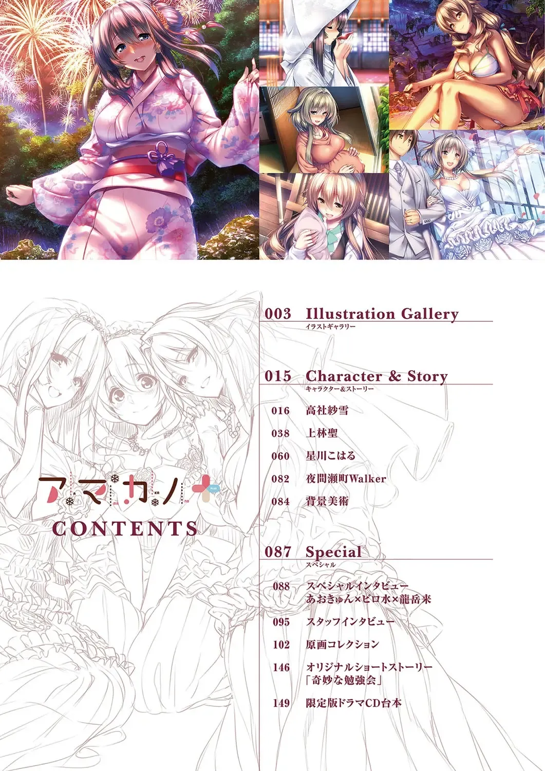 [Piromizu] Amakano＋ Visual Fan Book Fhentai - Page 5