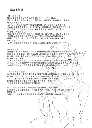 [Stealth Changing Line] Toaru Elf o Hikitorimashite Shunmin no Hi | Taking Care of a Certain Elf ~A Day of Spring's Slumber~ Fhentai - Page 24