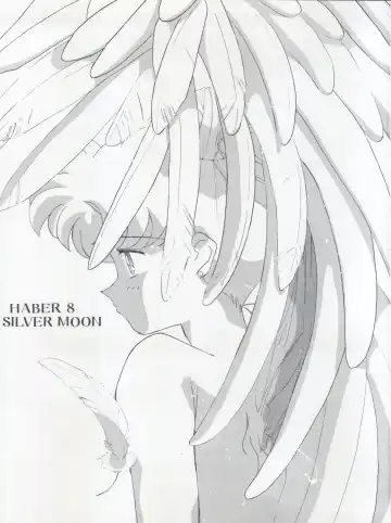 [J.sairo - Umemachi Syouji] HABER 8 ~SILVER MOON~ Fhentai - Page 3