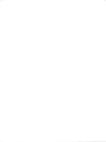 Nogaremono Nan Demo-R Fhentai - Page 2