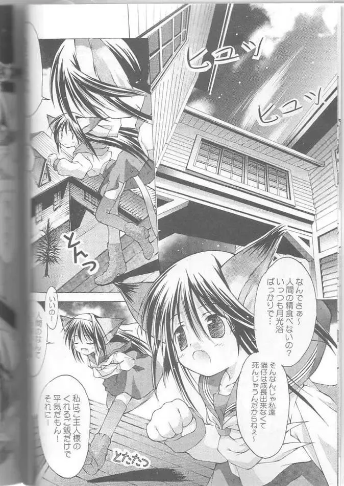 [Kim Chii] Yokaneko Fhentai - Page 7