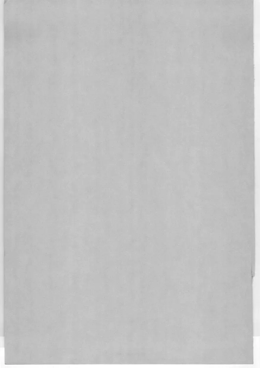 [Snowberry] Shinjin Kango fu Chijoku no Nikutai Kenshin Fhentai - Page 170