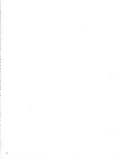 [Yaburebouki Akuta] Mokou Ni ~Touhou Shoujo Saiin~ Fhentai - Page 3