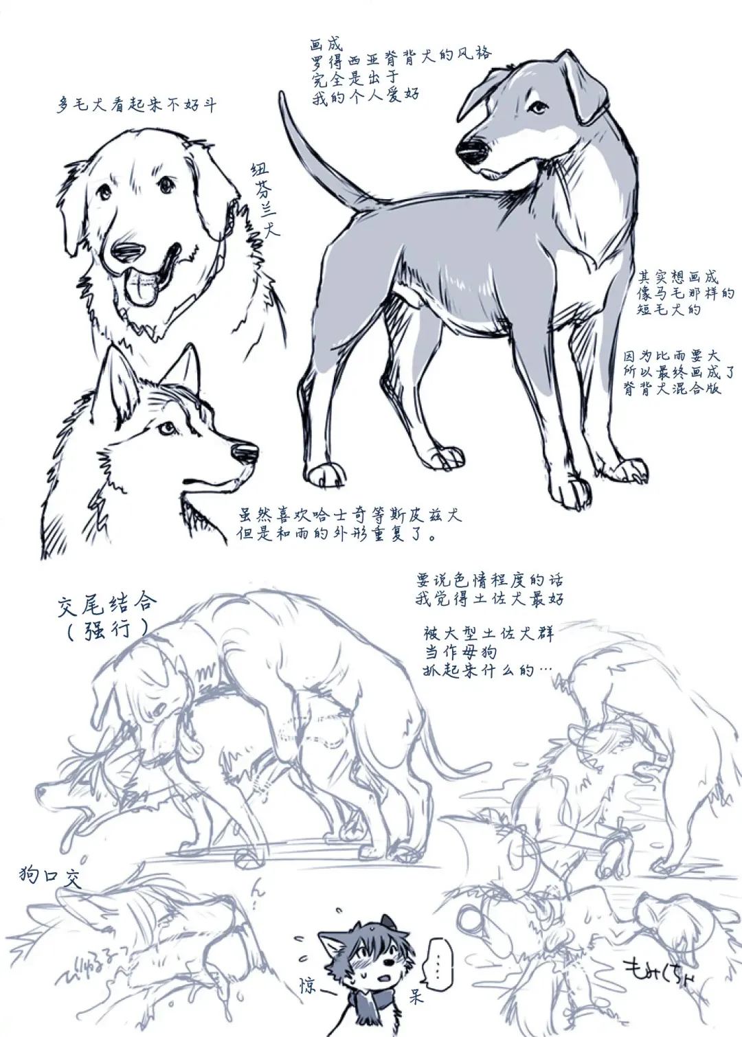 [Souko Souji] Aru Inu no Baai | 某只狗的视角 Fhentai - Page 10