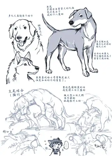 [Souko Souji] Aru Inu no Baai | 某只狗的视角 Fhentai - Page 10