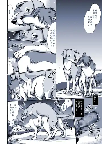 [Souko Souji] Aru Inu no Baai | 某只狗的视角 Fhentai - Page 7
