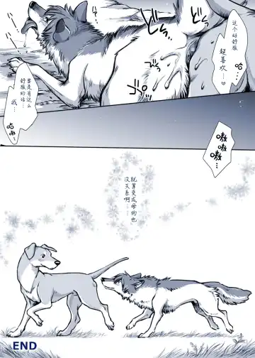 [Souko Souji] Aru Inu no Baai | 某只狗的视角 Fhentai - Page 9