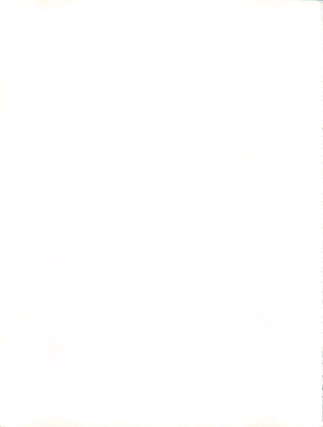 FORT ALPS Fhentai - Page 20