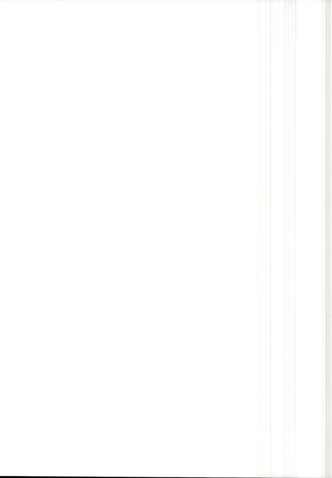 [Toraisi666] FGO no Fukenzen na Illust Bon Fhentai - Page 15