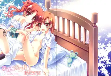 Read [Teruwi] Sunao na Onee-sama wa Suki desu ka? - Fhentai