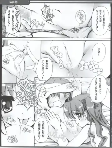 [Teruwi] Sunao na Onee-sama wa Suki desu ka? Fhentai - Page 14