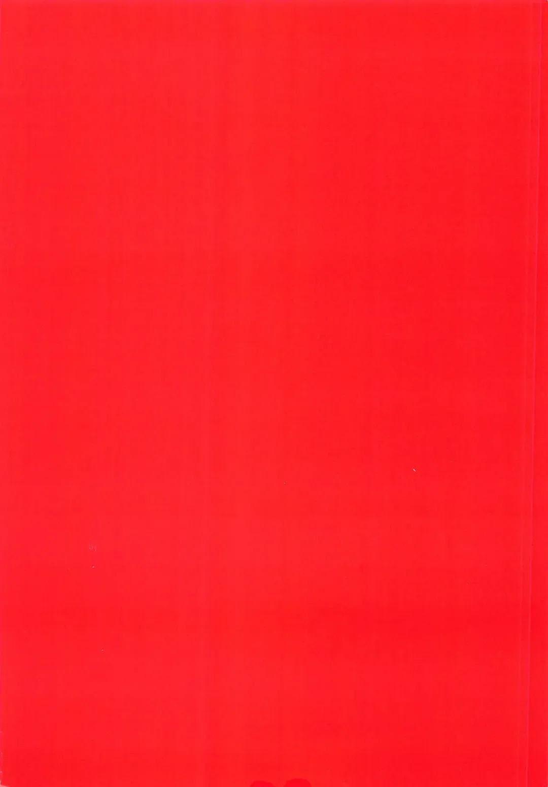 [Syunichi] Order01 -Mash Kyrielight- Fhentai - Page 19