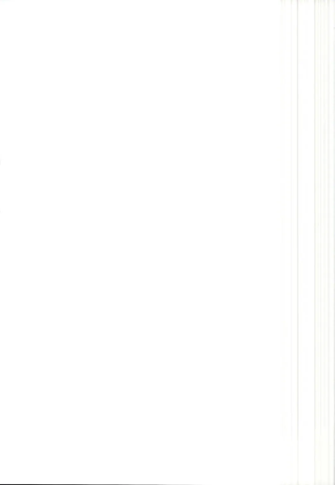 [Sawayaka Samehada] Zun-chan to Kosshori Suru Hon Fhentai - Page 11