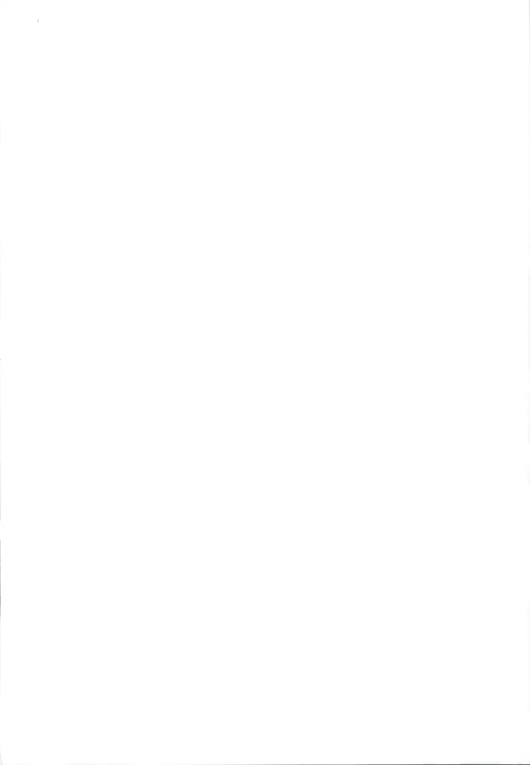 [Sawayaka Samehada] Zun-chan to Kosshori Suru Hon Fhentai - Page 2