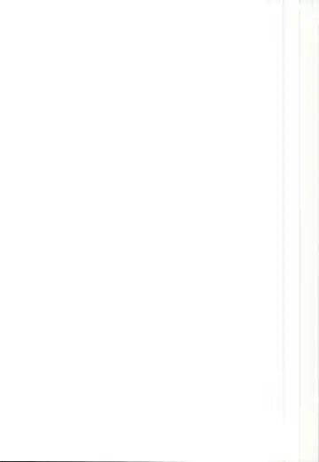 [Sawayaka Samehada] Zun-chan to Kosshori Suru Hon Fhentai - Page 11