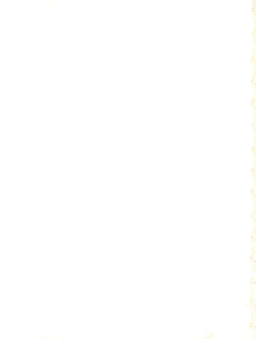 [Kyouichirou] .Kyoudai Bune/ Fhentai - Page 23