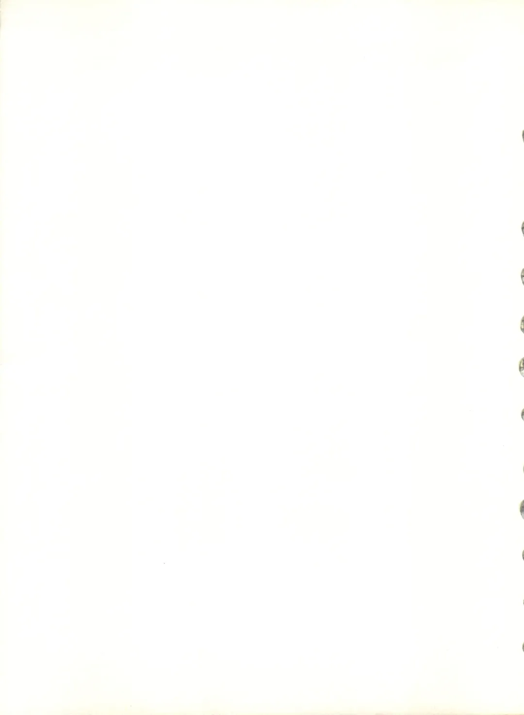 [Alex - Kaya Y] Natsu no Arashi Fhentai - Page 47