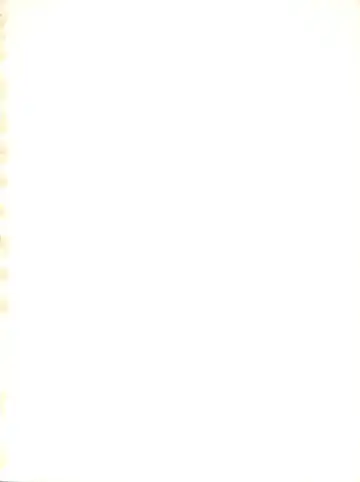 [Alex - Kaya Y] Natsu no Arashi Fhentai - Page 2