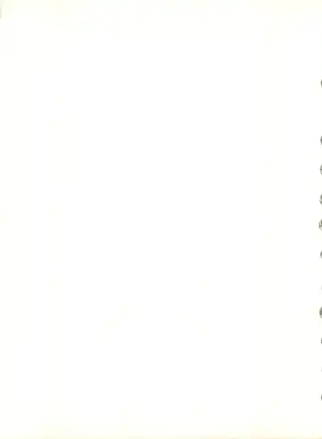 [Alex - Kaya Y] Natsu no Arashi Fhentai - Page 47