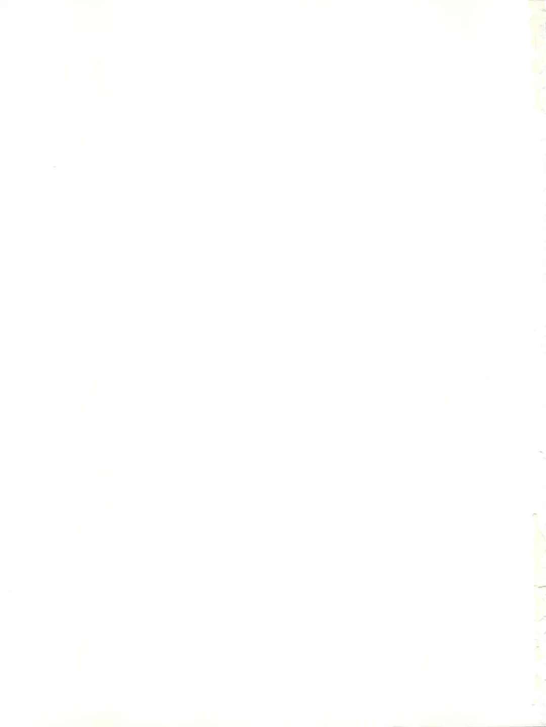 [Genka Ichien - Haineken - Nekobuton] Kuroha DYNAMIC Fhentai - Page 47