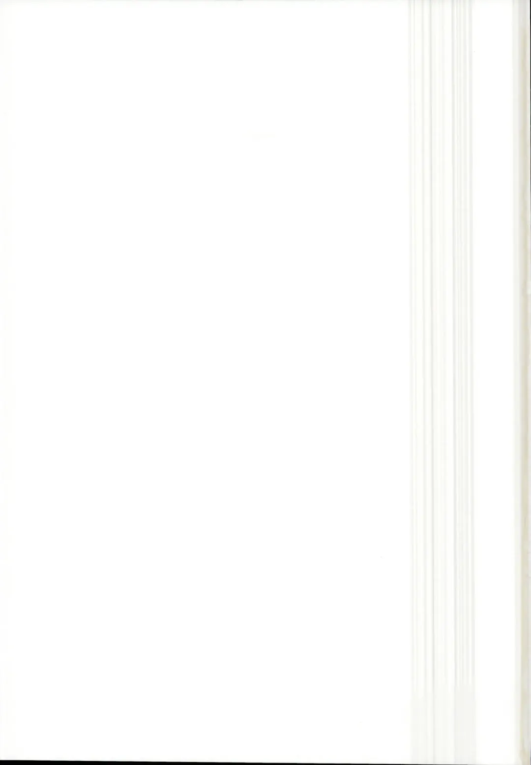 [Peso] Ecchi na Ecchi na Kenshou Fhentai - Page 22