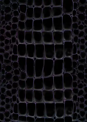 Q.E:R.M - Queen Elizabeth Royal Maintenance Fhentai - Page 73