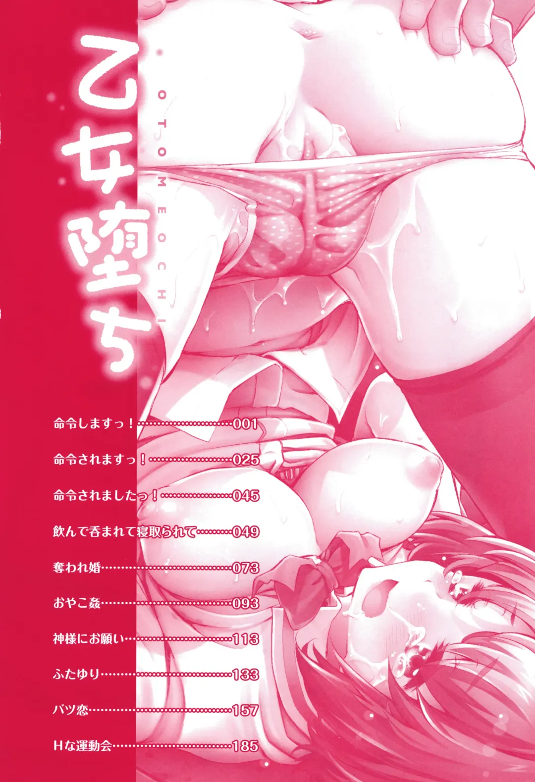 [Fujikawa Satoshi] Otome Ochi Fhentai - Page 5