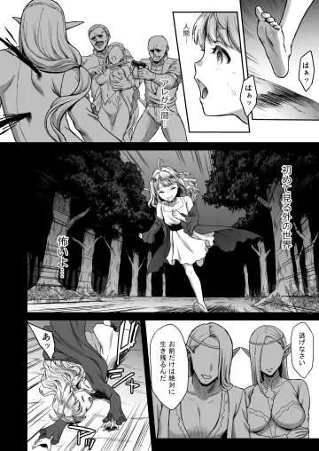 [Usagi Nagomu] Tasogare no Shou Elf 4 Fhentai - Page 4