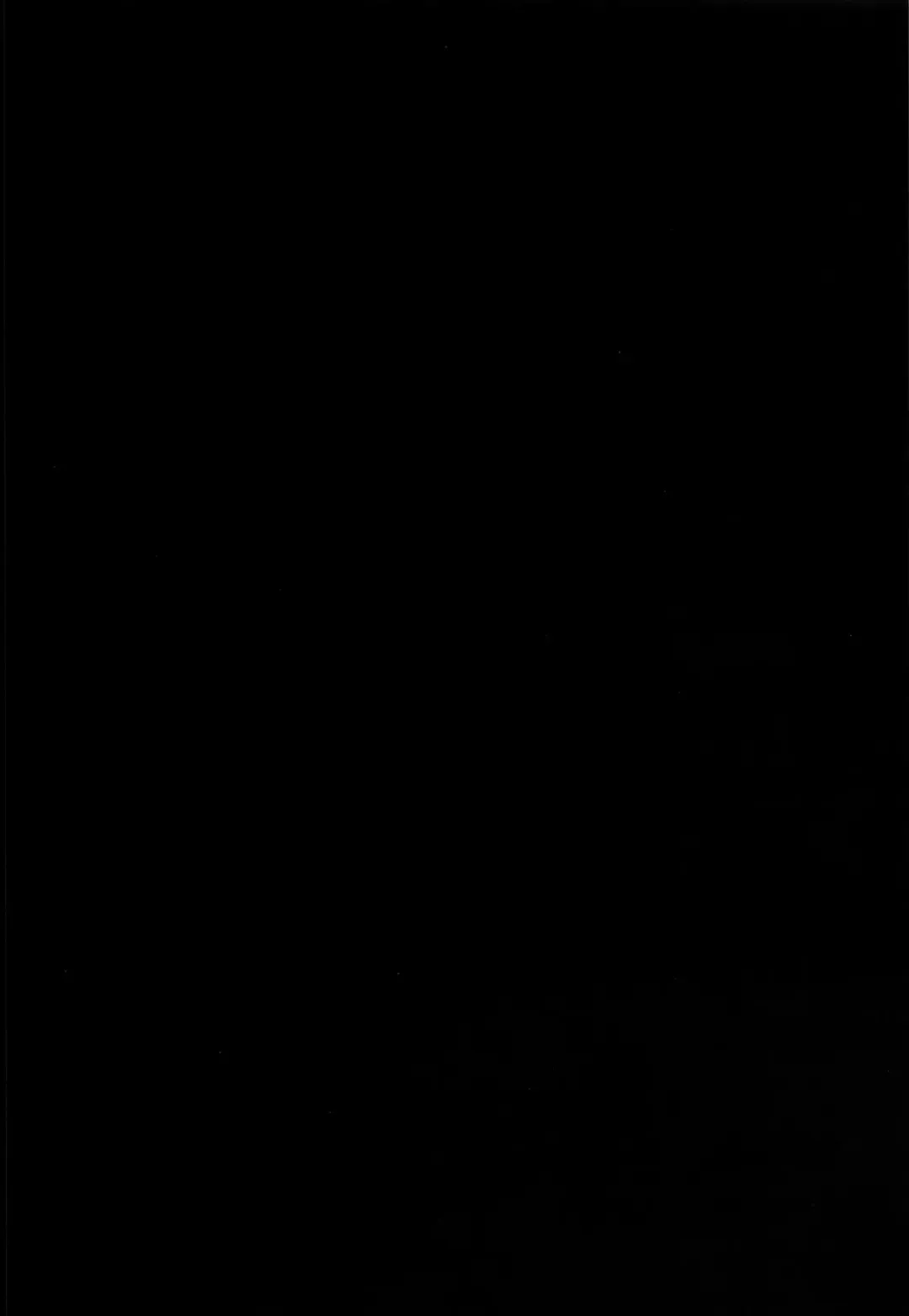 [Tanaka Decilitre] Inmon Megumin - crotch tattoo megmin! Fhentai - Page 3