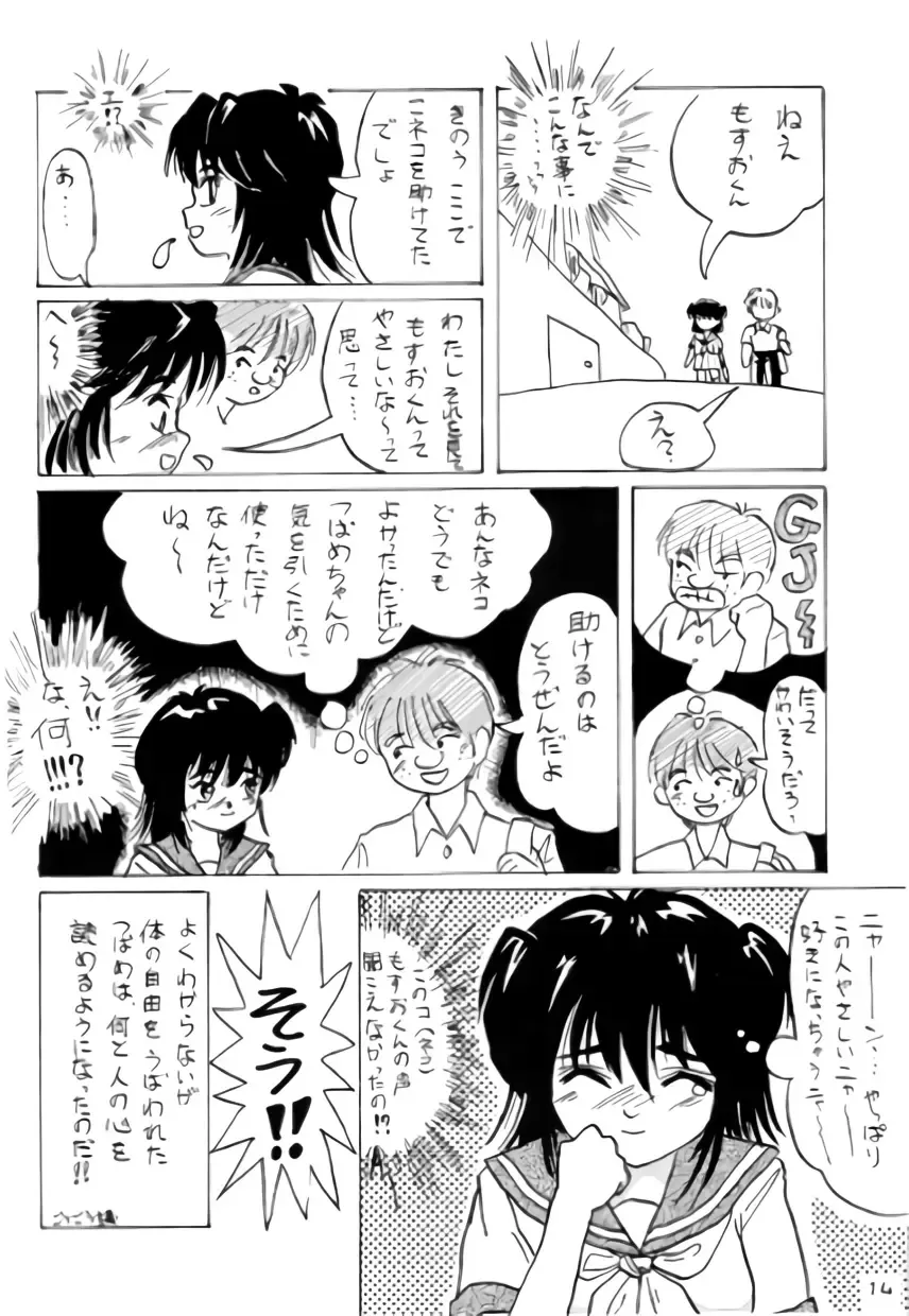 [Takapi] Neko Chimimi Fhentai - Page 13