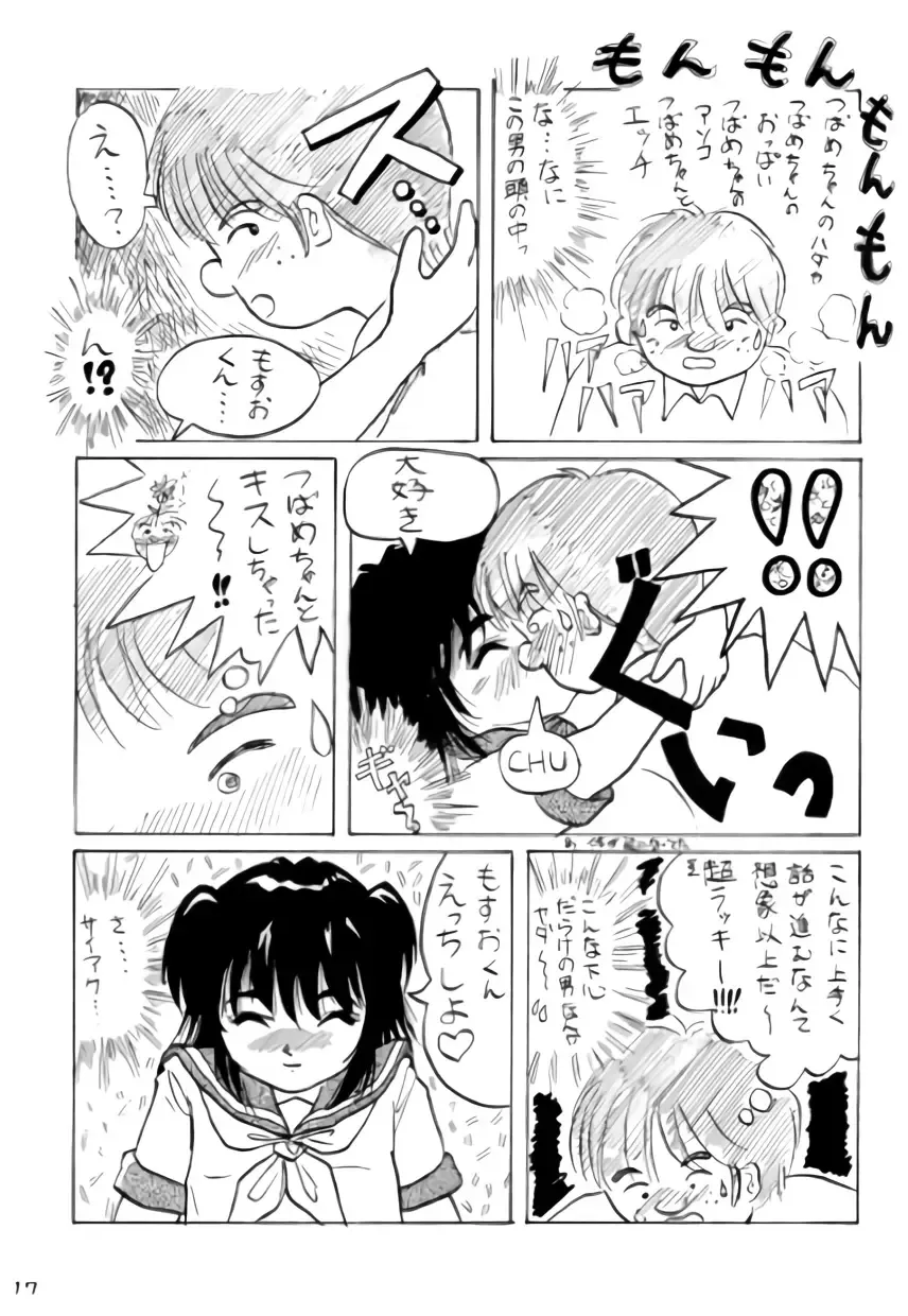 [Takapi] Neko Chimimi Fhentai - Page 16