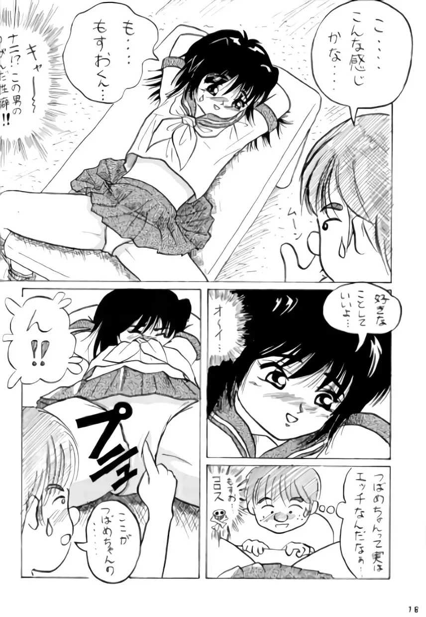 [Takapi] Neko Chimimi Fhentai - Page 17