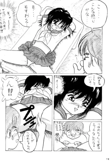 [Takapi] Neko Chimimi Fhentai - Page 17