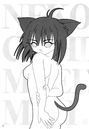[Takapi] Neko Chimimi Fhentai - Page 2