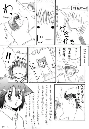 [Takapi] Neko Chimimi Fhentai - Page 26