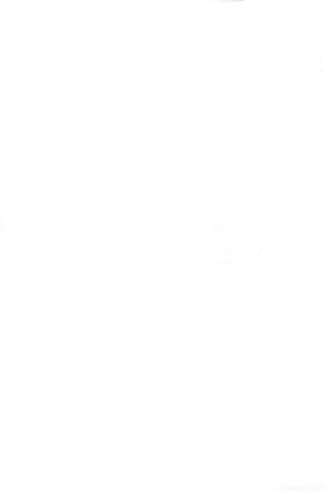 [Serizawa Yuuji] Ganso Inran Loli Bitch Fhentai - Page 13