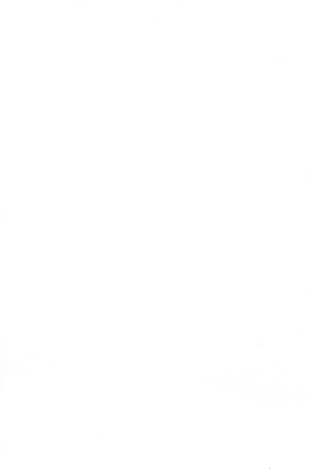 [Serizawa Yuuji] Ganso Inran Loli Bitch Fhentai - Page 2