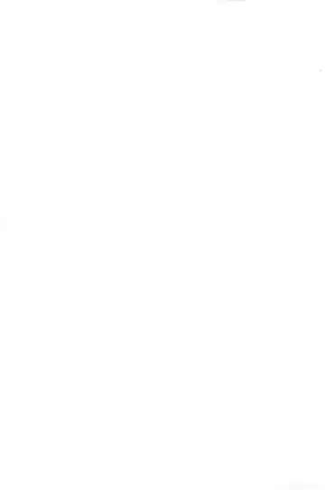 [Serizawa Yuuji] Ganso Inran Loli Bitch Fhentai - Page 13