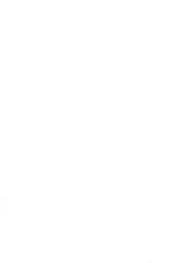 [Serizawa Yuuji] Ganso Inran Loli Bitch Fhentai - Page 2