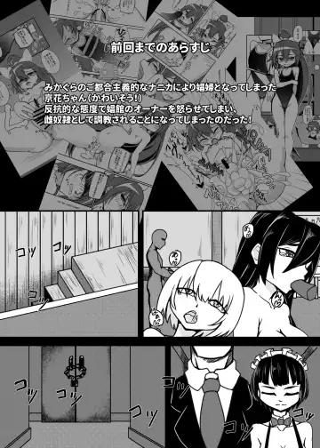 [Mikagura] Shinjin ○○ Kyouka-chan Soushuuhen Fhentai - Page 26