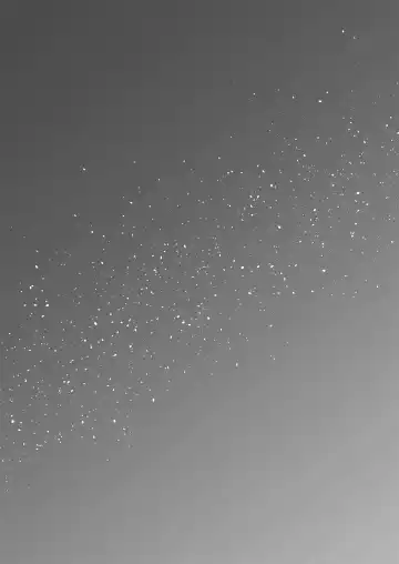 [Gangi Mari] Milk and Honey! Fhentai - Page 38