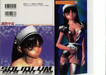 [Solidlum] ChoukyouTyuudoku Fhentai - Page 2