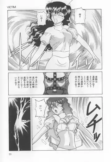 [Solidlum] ChoukyouTyuudoku Fhentai - Page 29