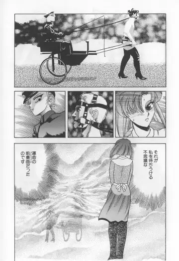 [Solidlum] ChoukyouTyuudoku Fhentai - Page 39