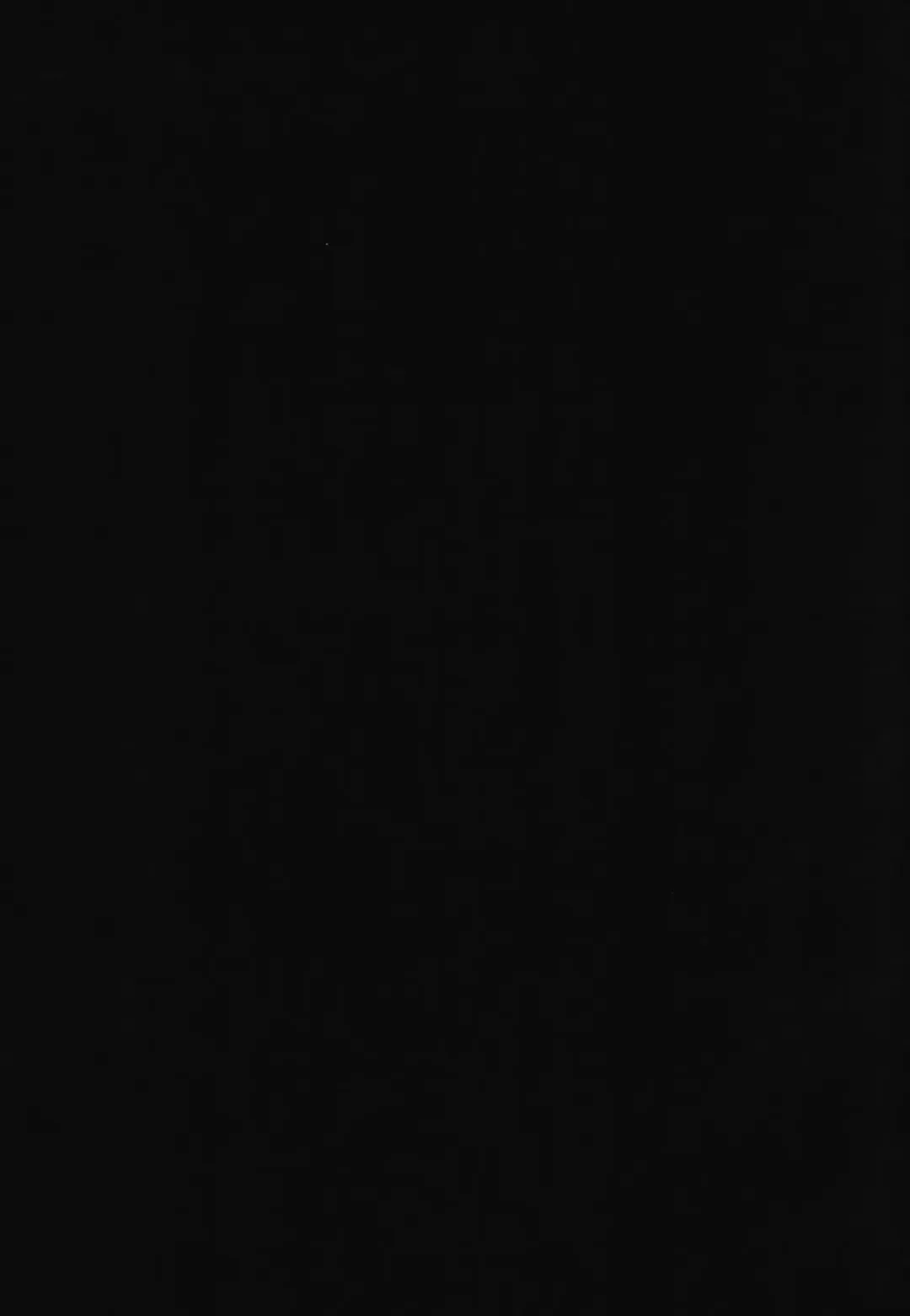 [Ogadenmon] Ie ni Kaereba Illya ga Iru ya Fhentai - Page 25