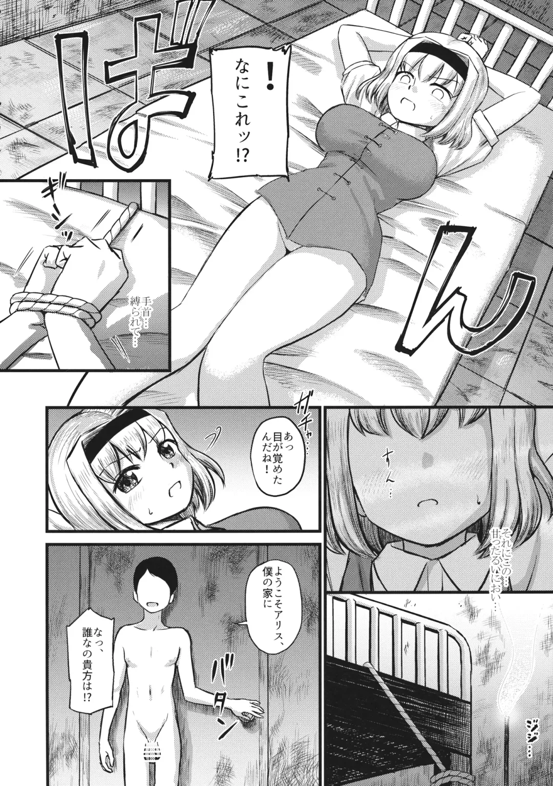 [Kuroichiba] Alice Kankin Fhentai - Page 3