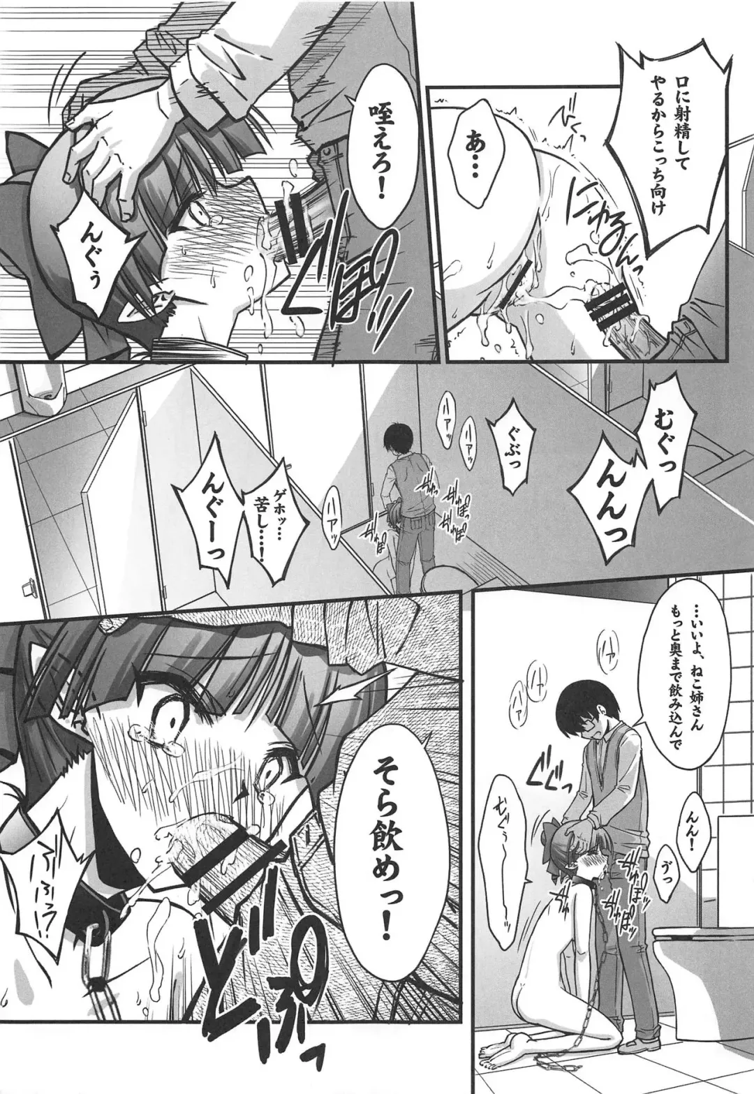 [Serizawa Katsumi] Neko Musume o Mesu ni Shitai 2 Fhentai - Page 14