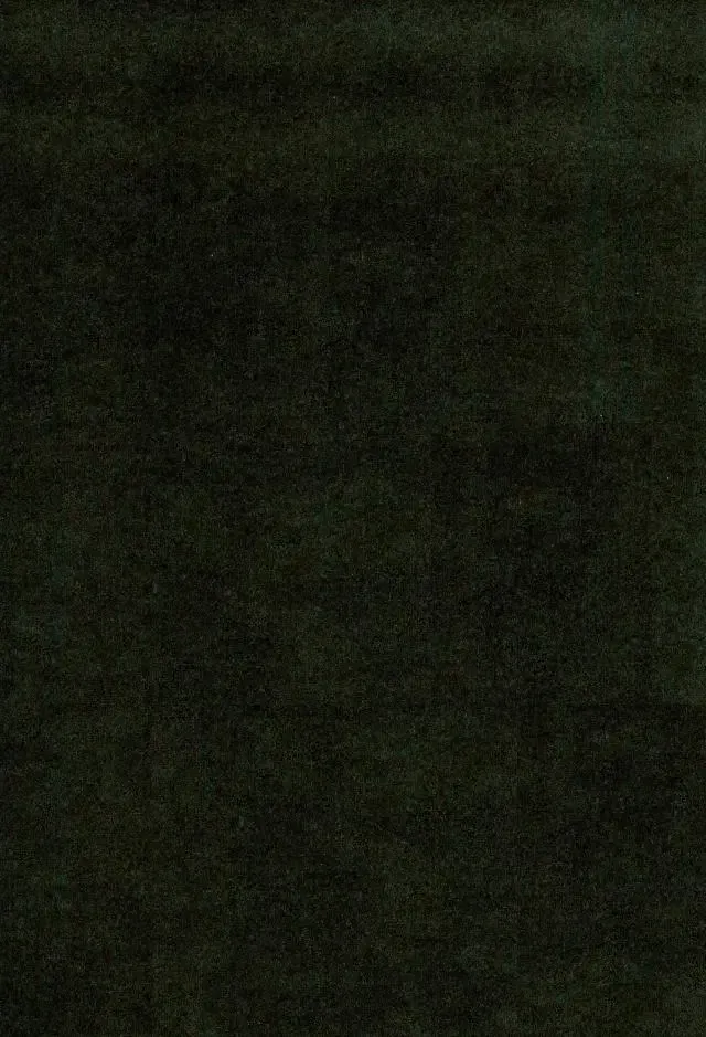 [Chidori] First Night Fhentai - Page 3